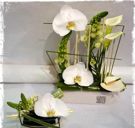composition d'orchidées