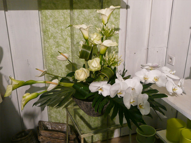composition avec arums blancs et phalaénopsis