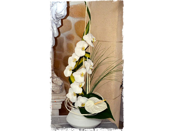 composition orchidées