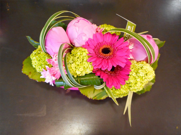 composition pivoines et gerbéra