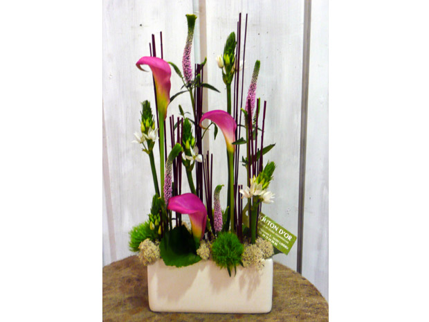 composition arums fushias