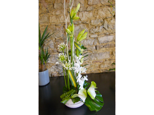 composition amaryllis blanc