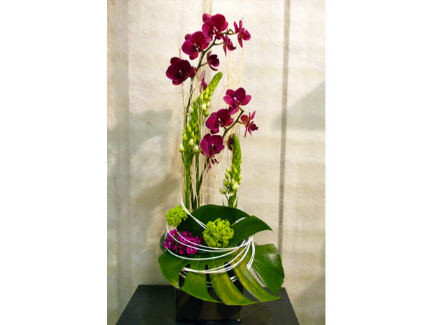 composition orchidées phalaénopsys