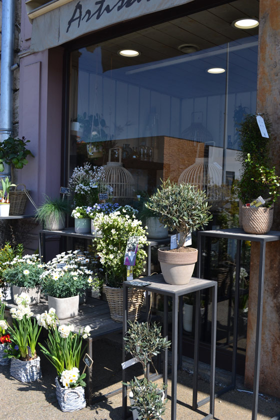 plantes
